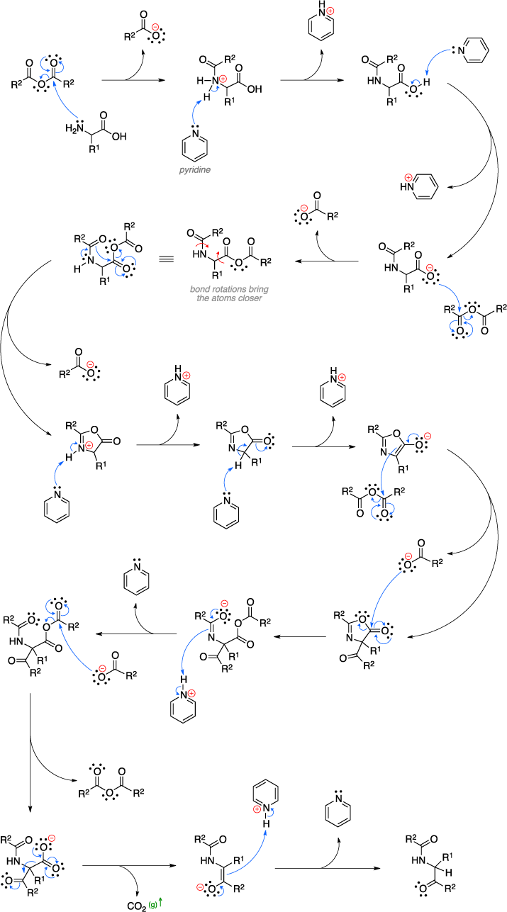 Mechanism of the Dakin-West reaction.