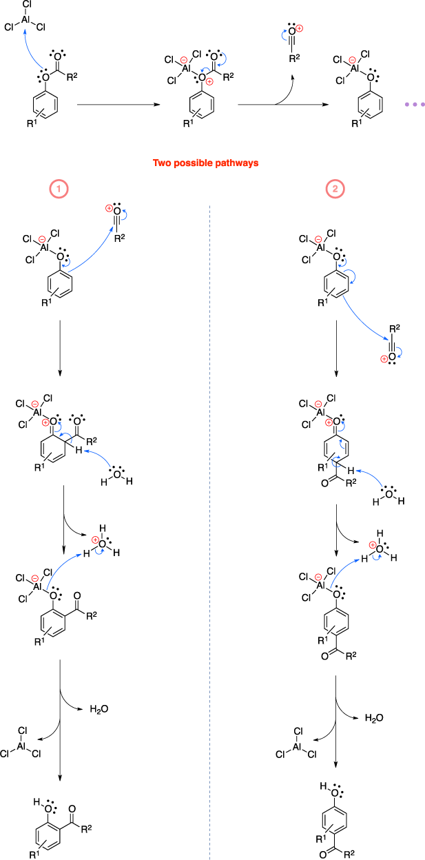 Mechanism of the Fries rearrangement. There are two possible pathways to product.