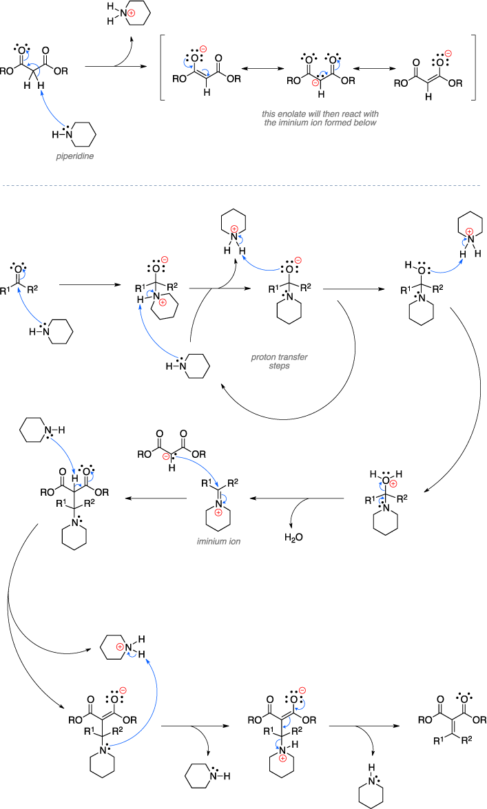 Mechanism of the Knoevenagel condensation. This enolate will then react with the iminium ion formed below.