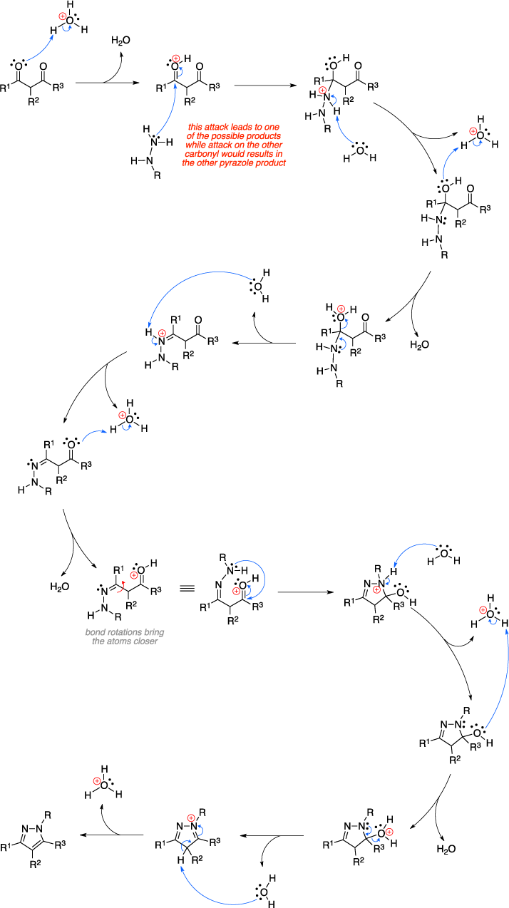 Mechanism of the Knorr pyrazole synthesis. This attack leads to one of the possible products while attack on the other carbonyl would results in the other pyrazole product.