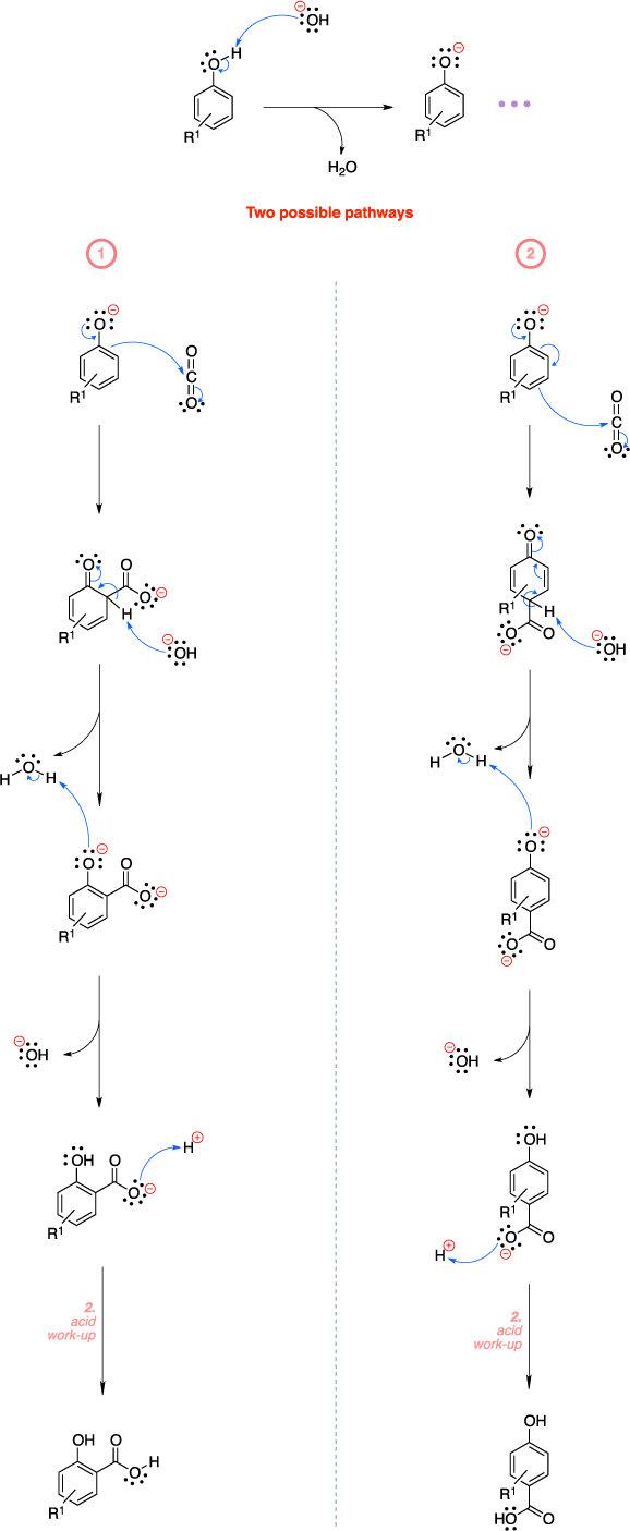 Mechanism of the Kolbe-Schmitt reaction. Two possible pathways lead to product.