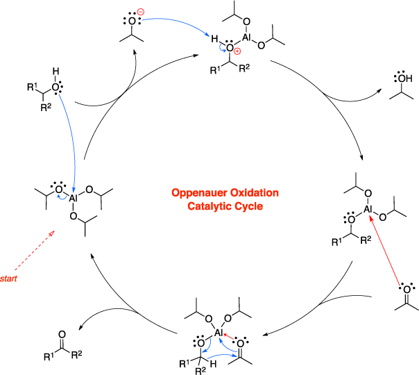 Mechanism of the Oppenauer oxidation. Oppenauer Oxidation Catalytic Cycle.
