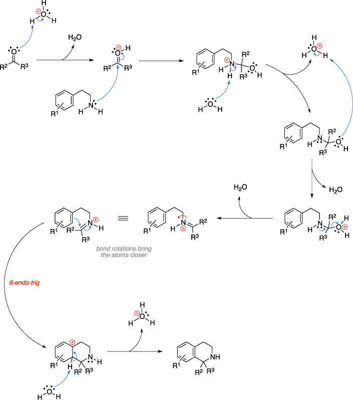 Mechanism of the Pictet-Spengler reaction. 6-endo-trig.