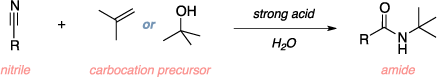 Schematic of the Ritter reaction. Reagents: nitrile, carbocation precursor, strong acid, water. Product: amide.