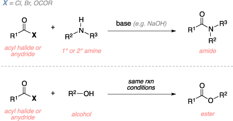 Schematic of the Schotten-Baumann reaction. Reagents: acyl halide, anhydride, primary or secondary amine, alcohol, base. Product: amide, ester.