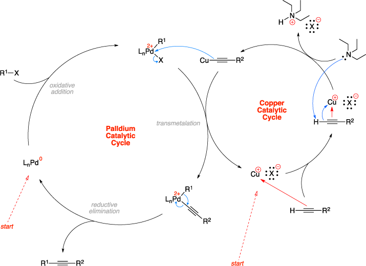 Mechanism of the Sonogashira cross-coupling. Palldium Catalytic Cycle steps include: oxidative addition, transmetalation, and reductive elimination. Copper Catalytic Cycle.