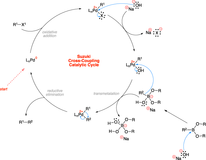 Mechanism of the Suzuki cross-coupling. Suzuki Cross-Coupling Catalytic Cycle steps include: oxidative addition, transmetalation, and reductive elimination.