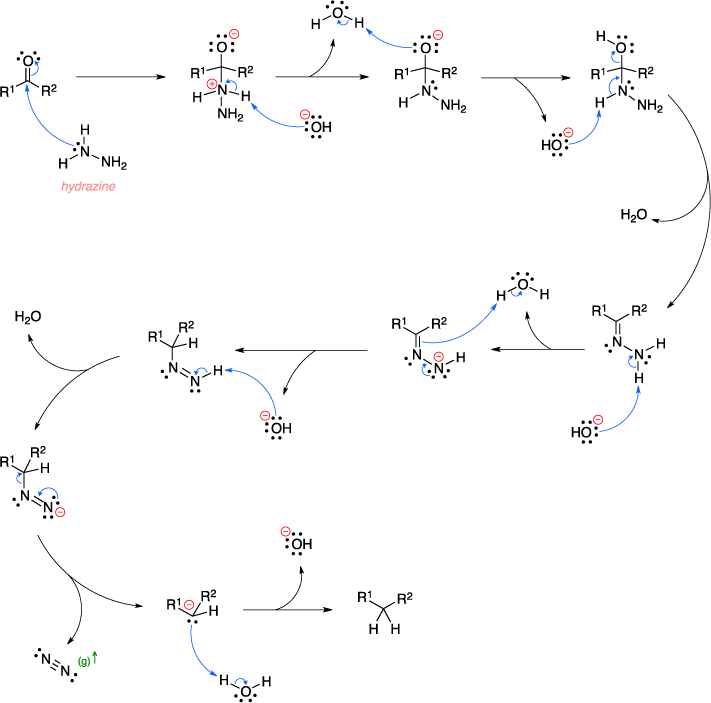 Mechanism of the Wolff-Kishner reduction.